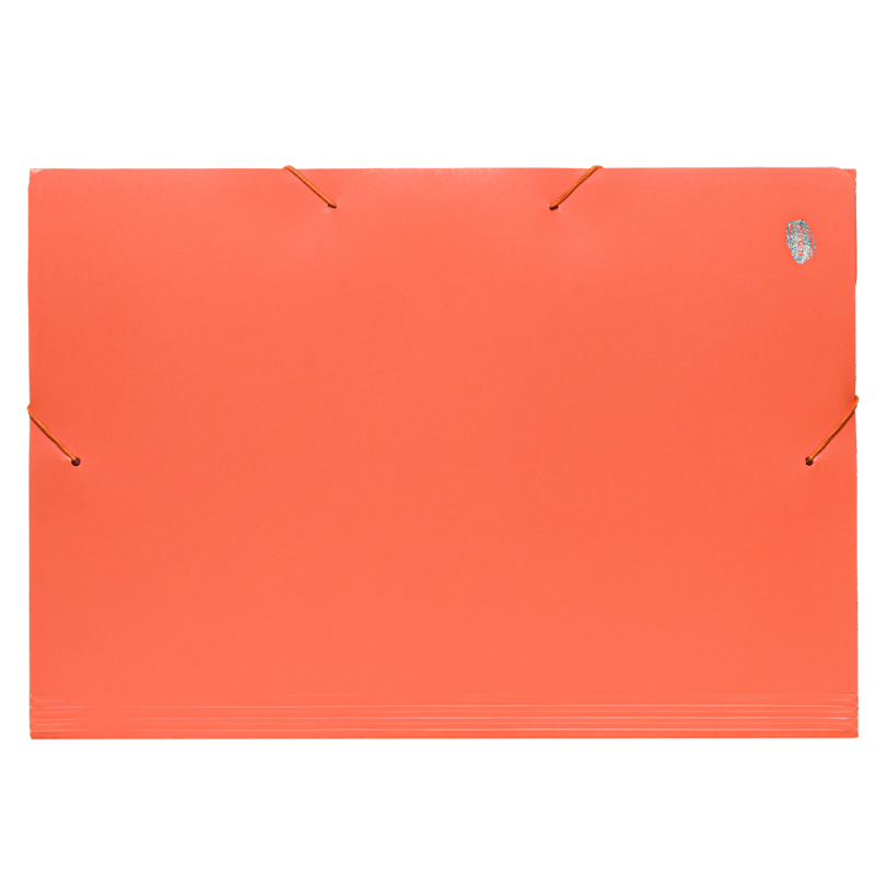 Carpeta oficio con elastico rideo intense Carpeta oficio con elastico rideo intense