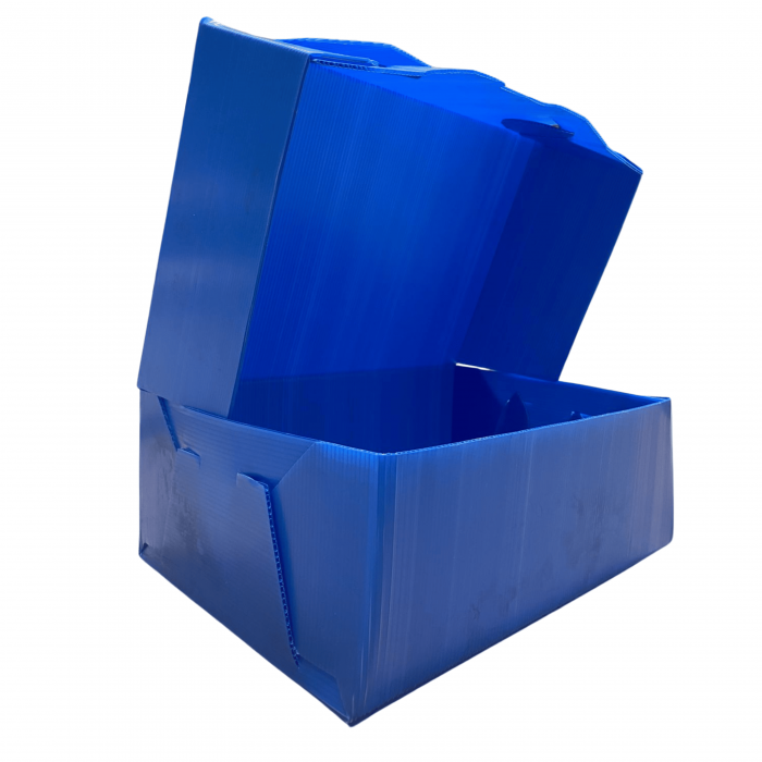 CAJA ARCHIVO PLASTICA...