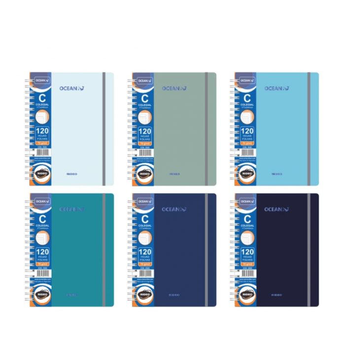 CUADERNO RIDEO COLEGIAL...