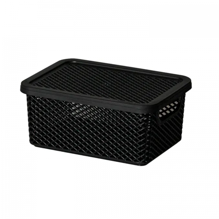 PARAMOUNT CAJA ORGANIZADOR CON MANIJA 18x13x8