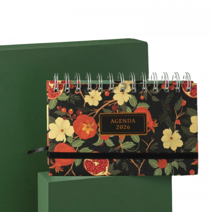 AGENDA FERA POCKET ESPIRAL MURAL