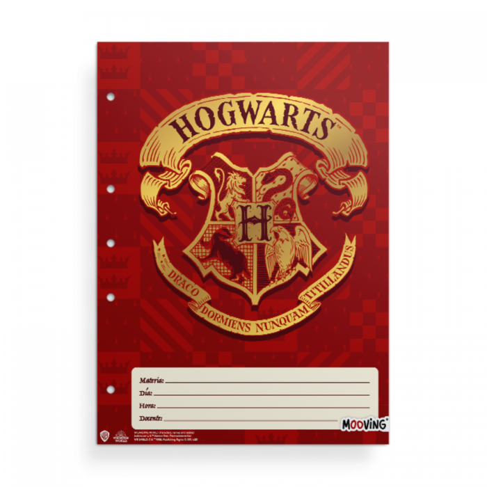 SEPARADORES A4 LICENCIA HARRY POTTER x6