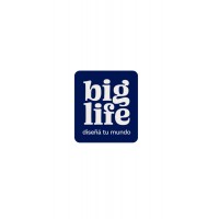 BIG LIFE